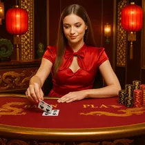 Winzter - Live Baccarat Casino Game